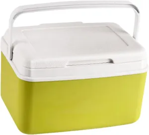 Cooler Box Ice Chest Small Hard with Handle Car Refrigerator Ice Retention Cooler for Commercial Camping Sport Drink Barbecue