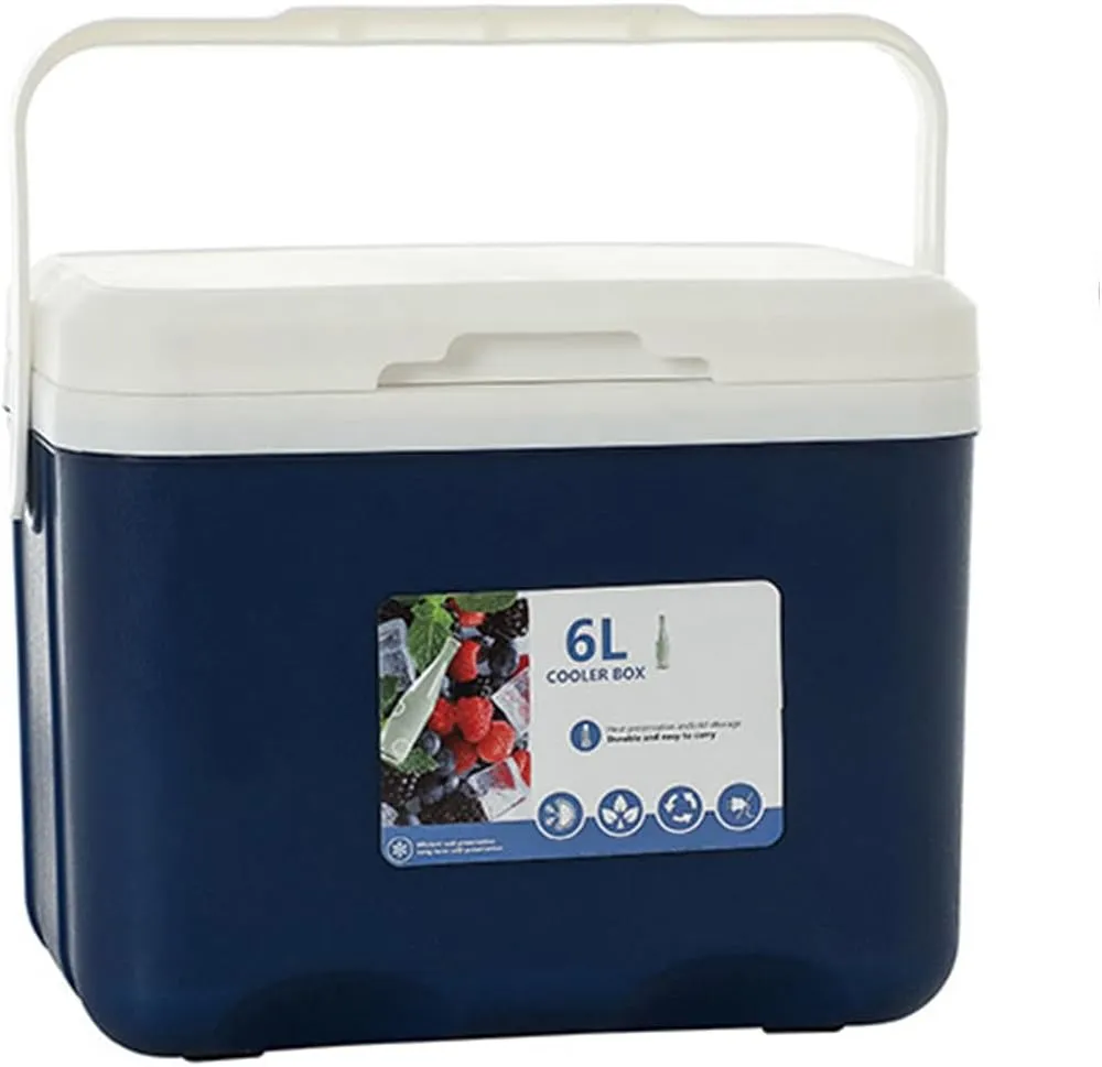 Cooler for Pontiac Bonneville/Catalina/Chieftain/Fiero/Firebird/Trans Sport Insulated Hard Ice Box Large High-Performance Storage Box Portable Cool Picnic Box Festival,B-27 * 18 * 23cm