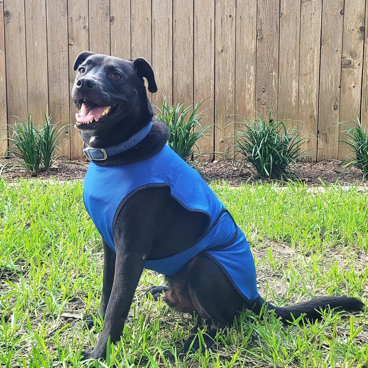 Dog Cooling Vest. Lightweight Jacket with Evaporative Cool Microfiber Technology, UV Protection Shirt for Beach, Sizing for Small, Medium and Large Dogs (XL, Dark Blue)