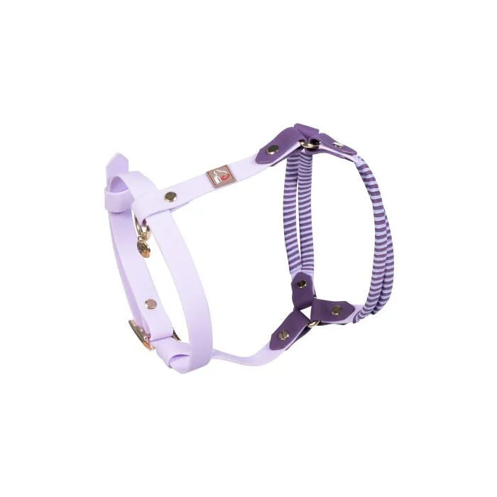 Dog Harness Amitye
