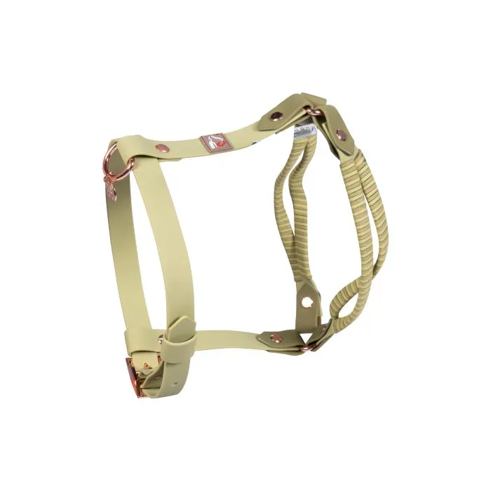 Dog Harness Amitye