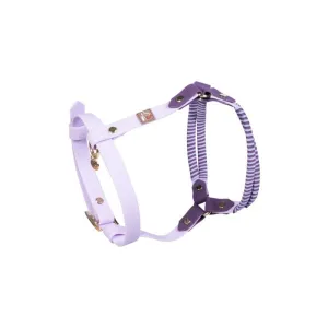 Dog Harness Amitye