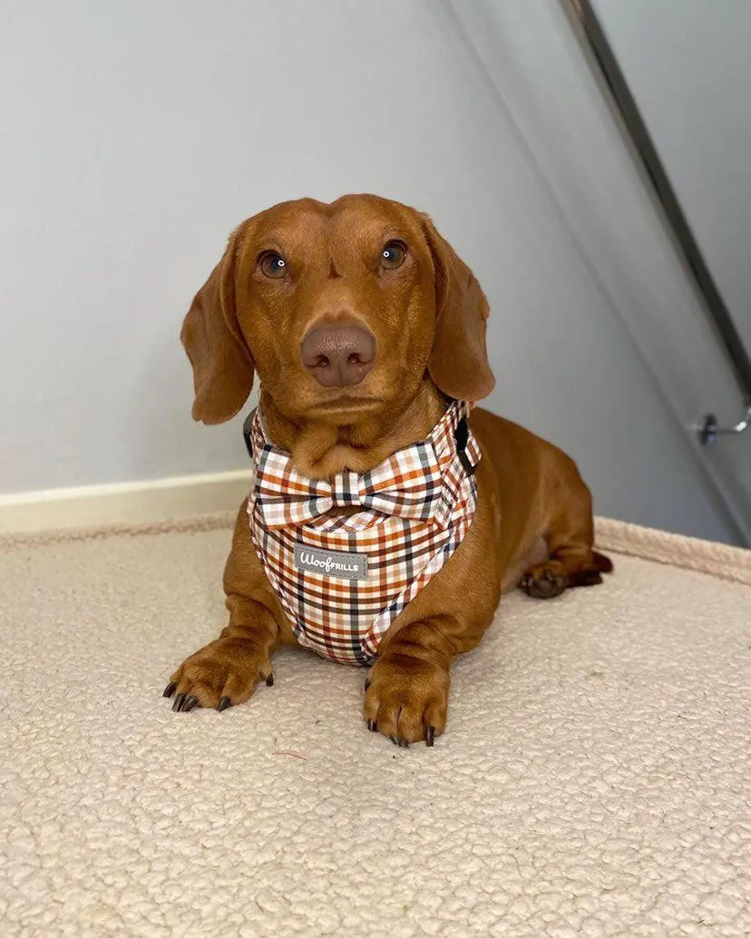 Dog Harness | Best i ever plaid