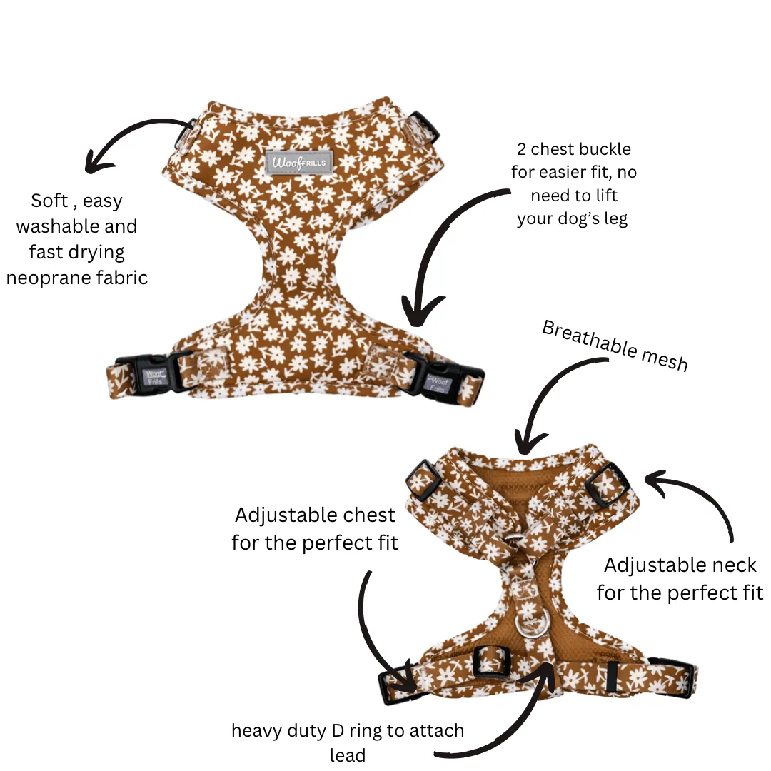 Dog Harness | Bloom me away