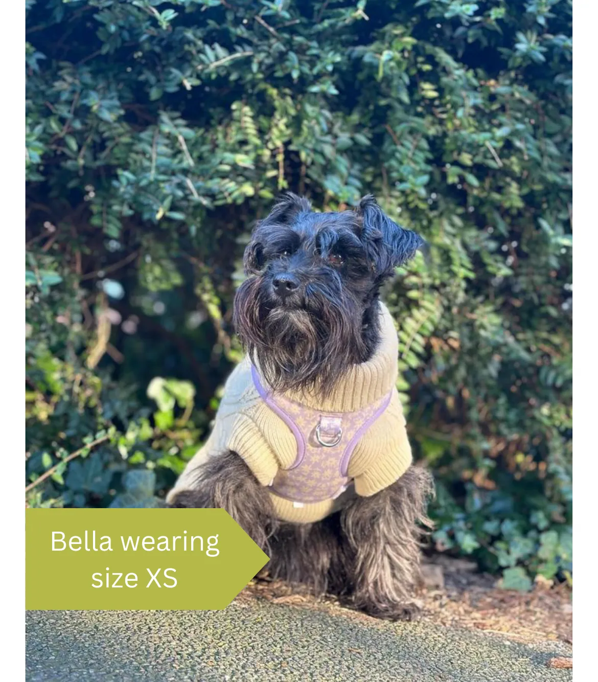 Dog harness, Dog collar and lead set | BUNDLE OF YOUR CHOICE | Bloom me away Lilac