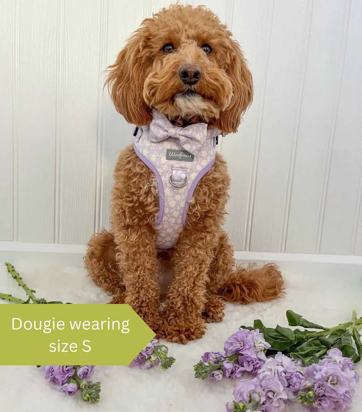 Dog harness, Dog collar and lead set | BUNDLE OF YOUR CHOICE | Bloom me away Lilac