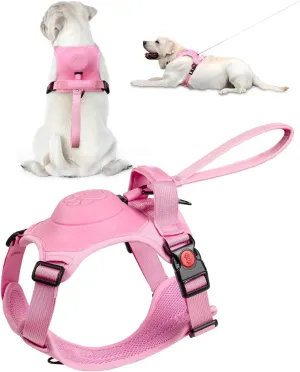 Dog Harness Front Clip Adjustable Outdoor Walking Leash Set