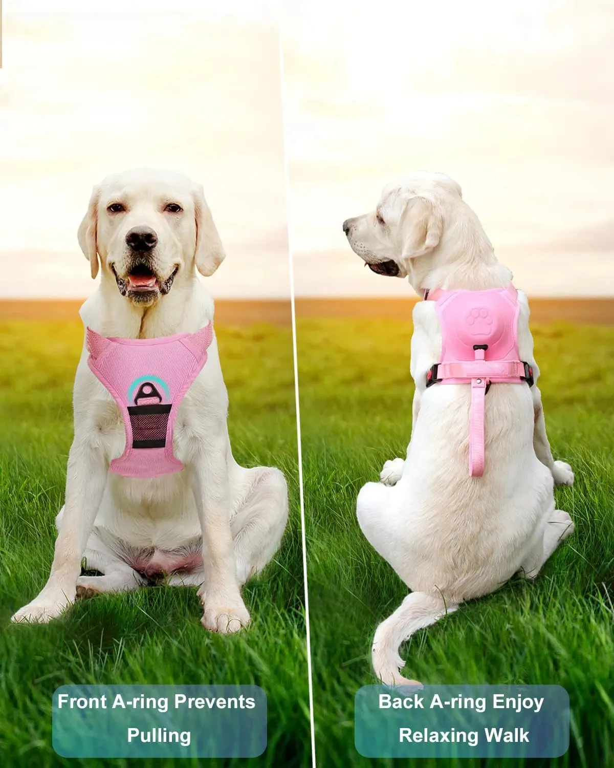 Dog Harness Front Clip Adjustable Outdoor Walking Leash Set
