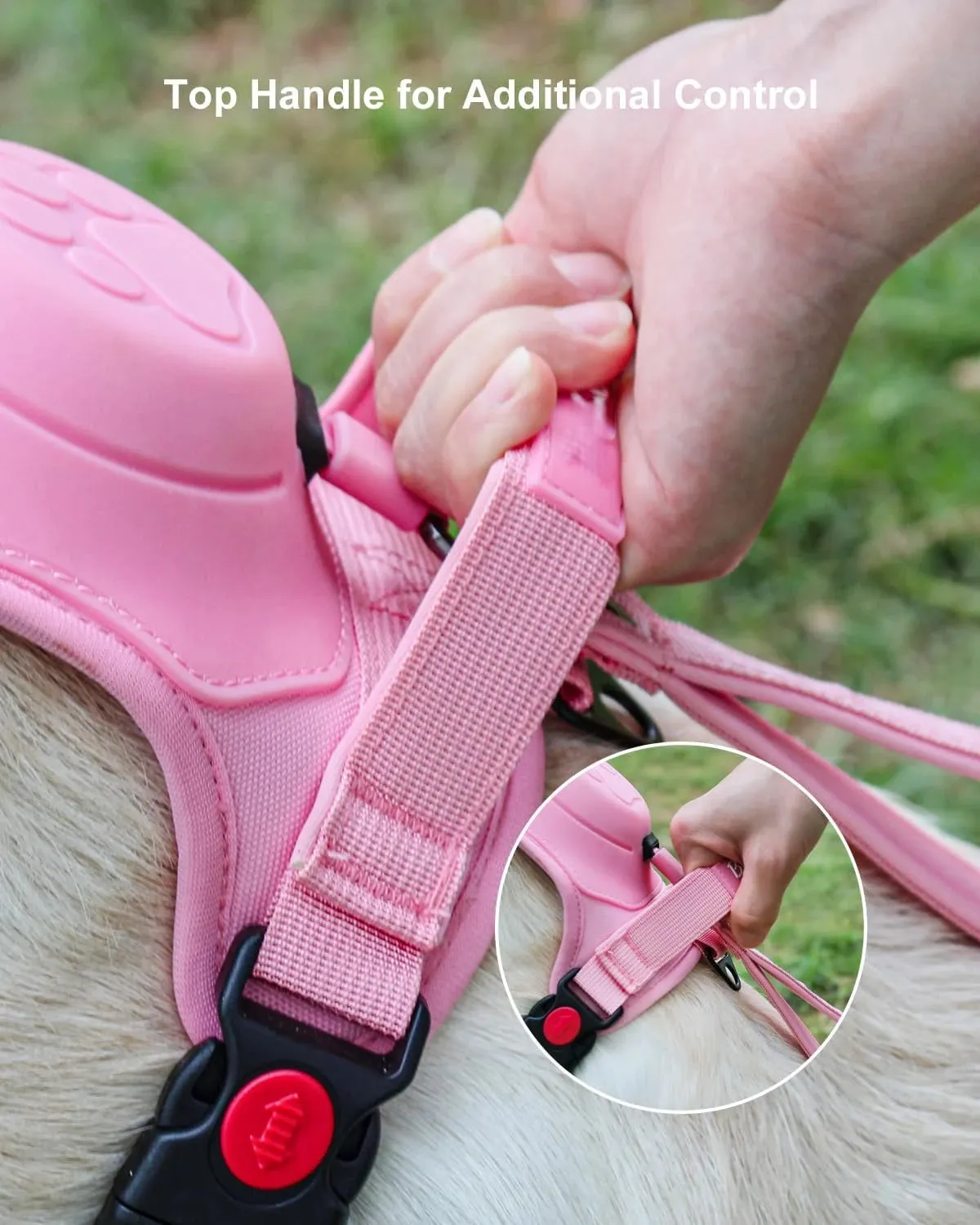 Dog Harness Front Clip Adjustable Outdoor Walking Leash Set