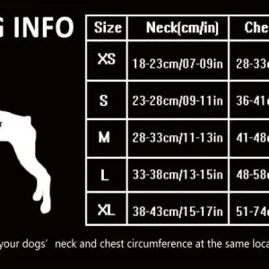 Dog Harness with Steel D Ring - Black, XL