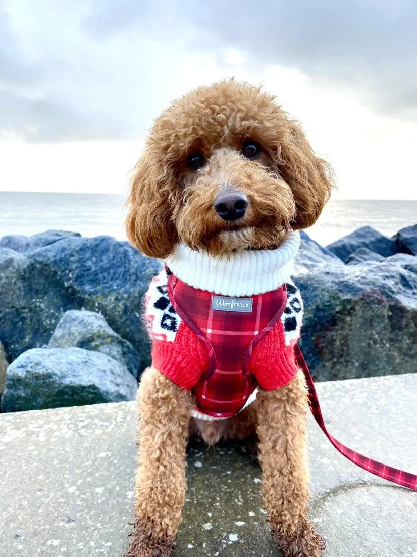 Dog Harness | You plaid me at hello