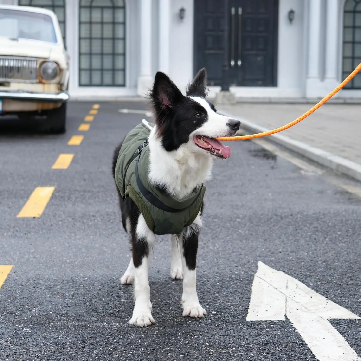 Dog Jacket with Harness,Fleece Lined Warm Puppy Coat for Winter,Soft Windproof Medium Dog Vest,Green L