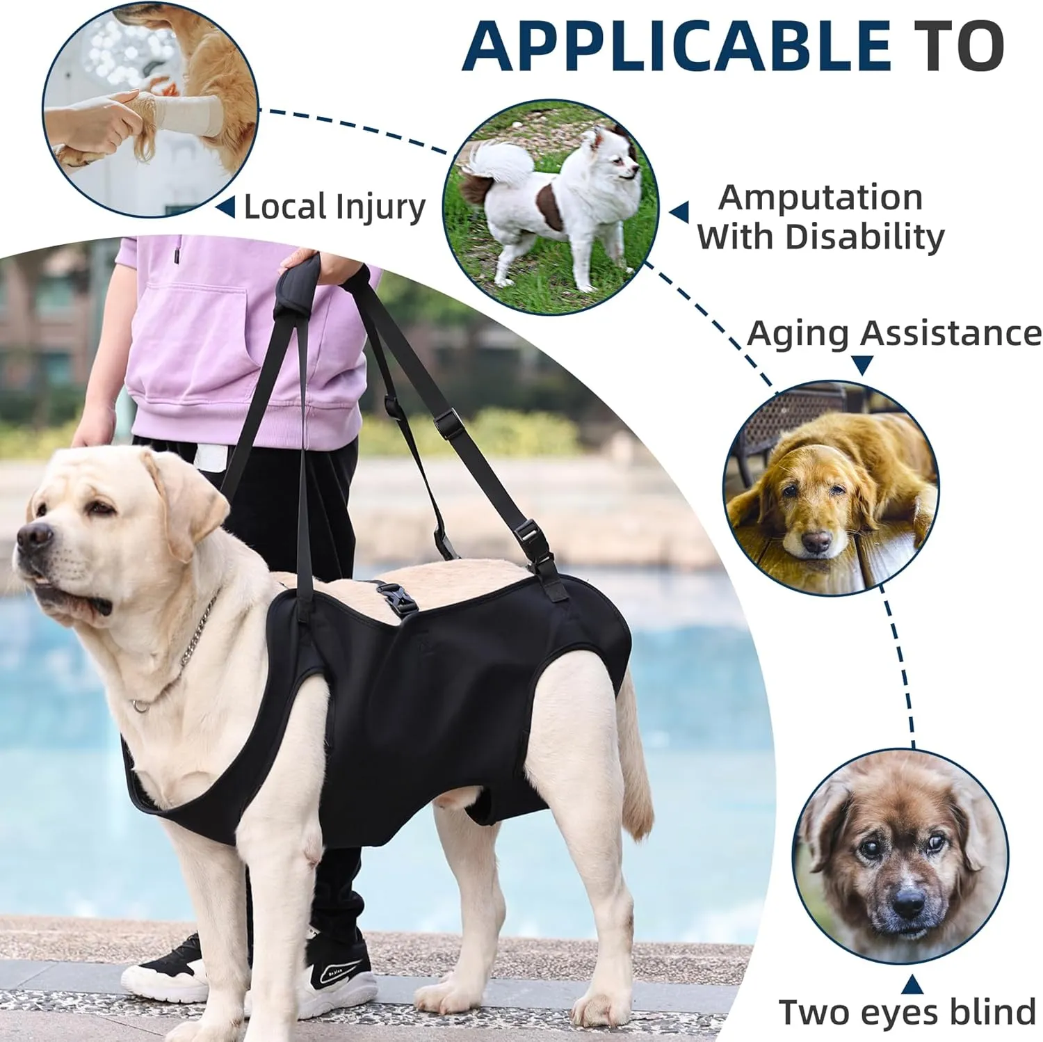 Dog Lift Harness,Full Body Dog Sling Carrier with Handle,Total Body Support for Dogs,Pet Dog Leg Support Sling Adjustable Retractable Breathable Lift Harness (M)
