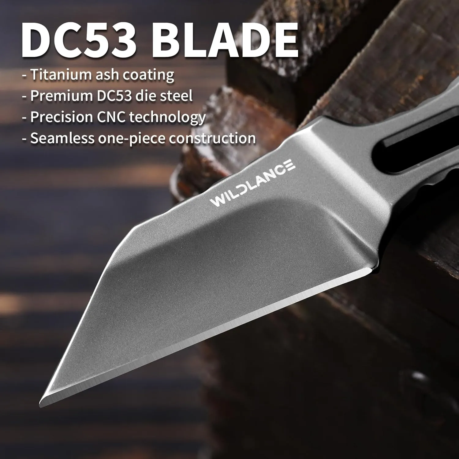EDC Fixed Blade Knife with Sheath, Camping Knife Fixed Blade 2.2" Outdoor Survival Blade Full Tang Hunting Knives for Men Women IB-04