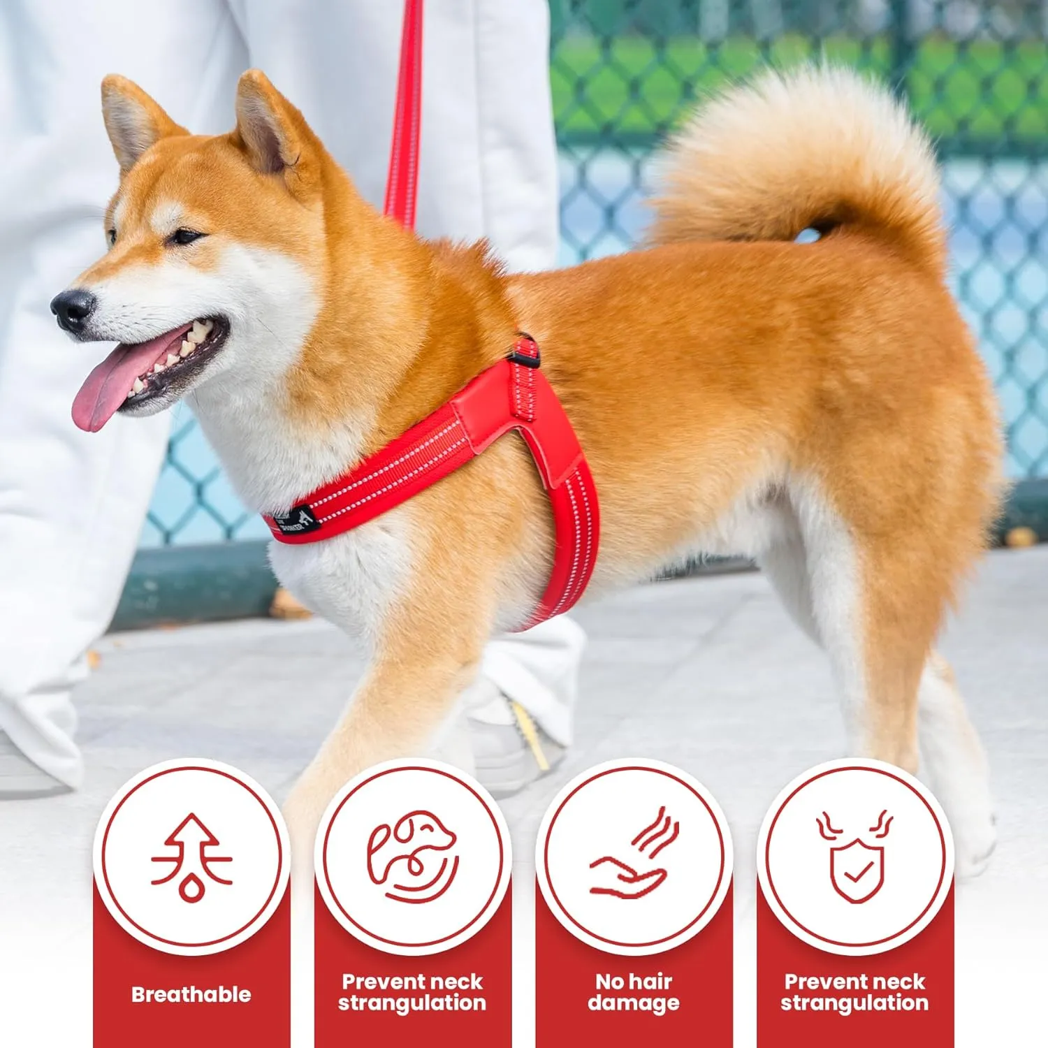 EXCELLENT ELITE SPANKER No Pull Dog Harness Step-in Adjustable Reflective Vest Soft Padded Easy Pet Chest Strap with Leash Clips for Small Medium Large Dogs Walking Training(Light Blue-L)