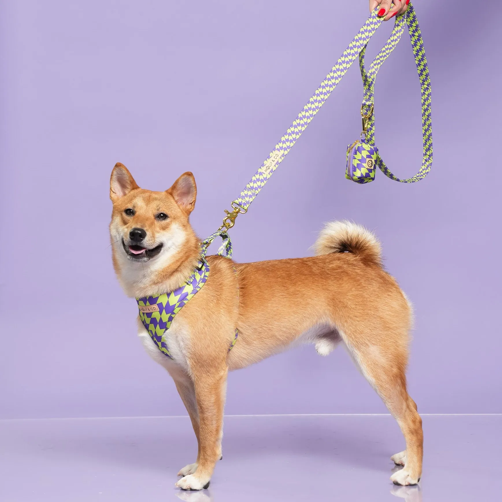 Fetch Master - Adjustable Dog Harness