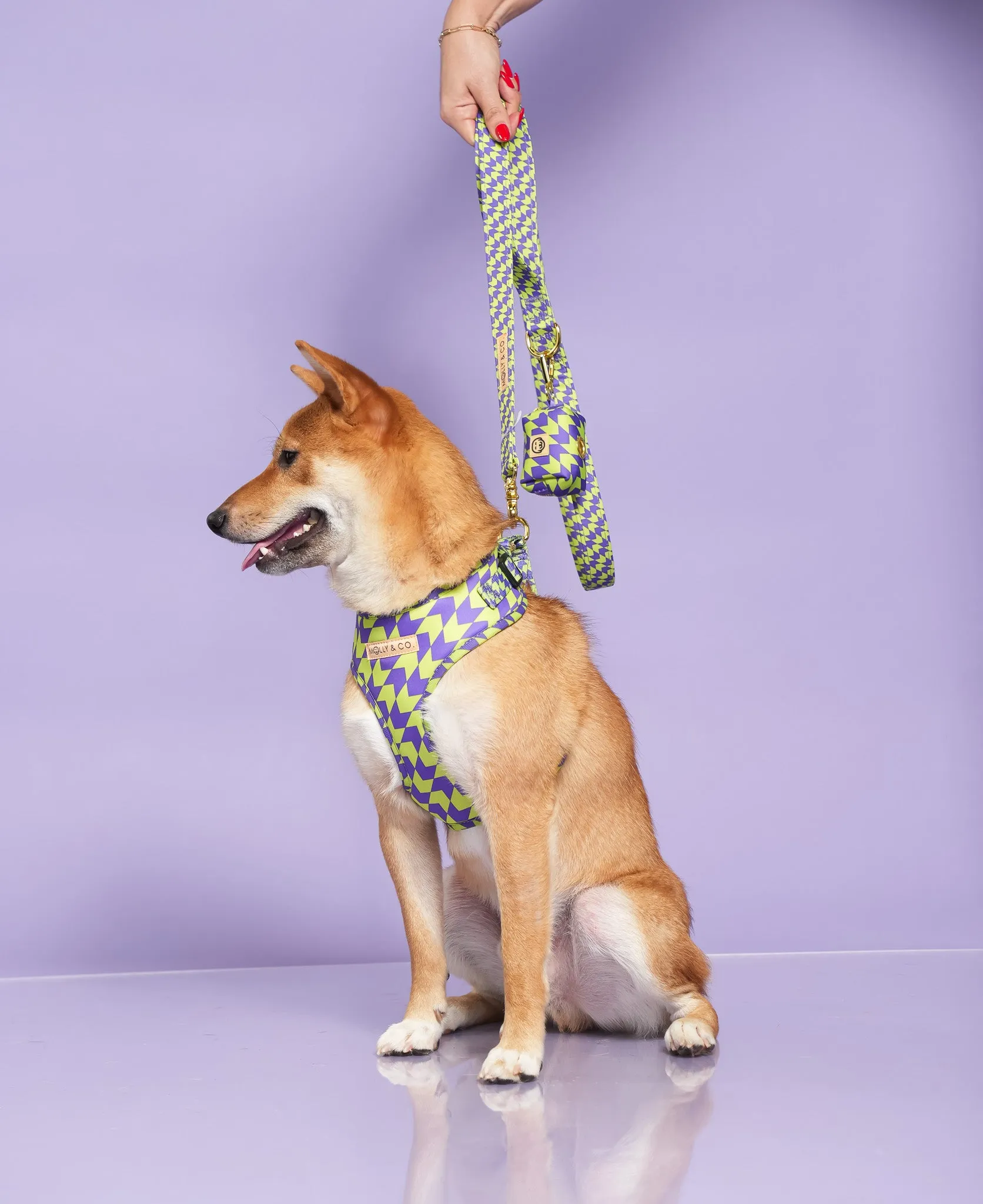 Fetch Master - Adjustable Dog Harness