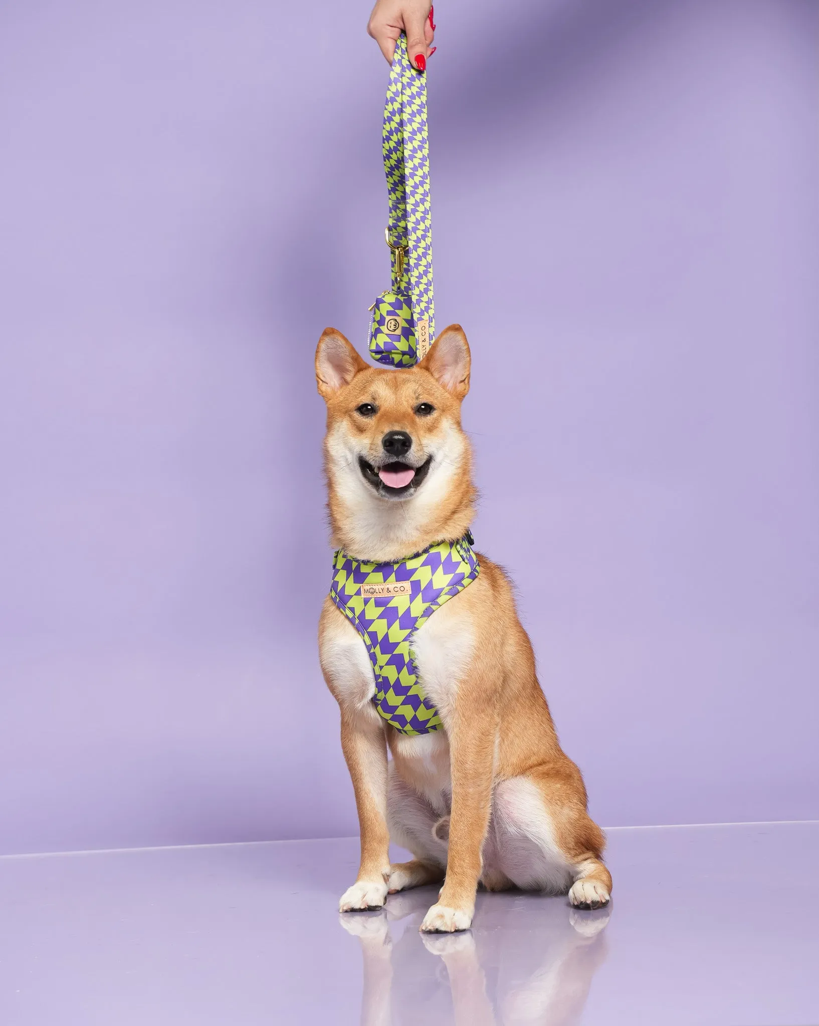 Fetch Master - Adjustable Dog Harness