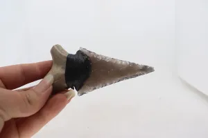 Flint Knapped Davis Creek Rainbow Obsidian Knife Blade using Pressure Flake Techniques Hafted on Deer Antler handle Using Imitation Sinew