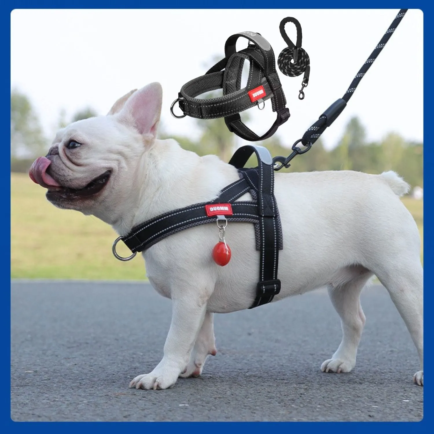 FrenFit Frenchie Harness and Leash Set – No-Pull Y-Shaped Stylish Fit