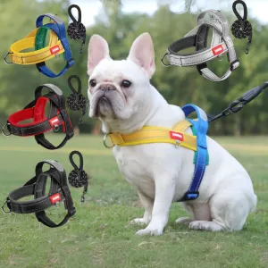 FrenFit Frenchie Harness and Leash Set – No-Pull Y-Shaped Stylish Fit