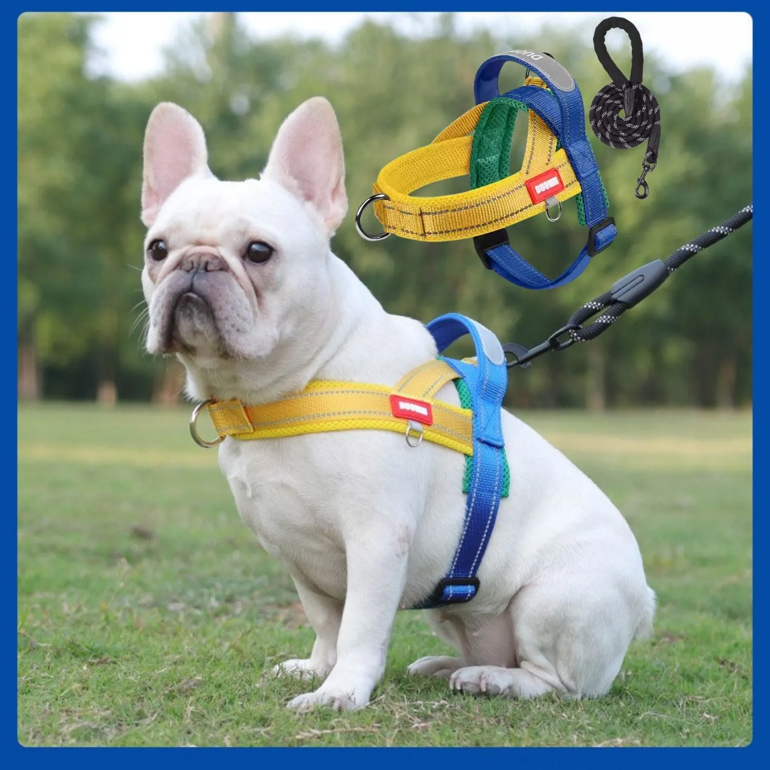 FrenFit Frenchie Harness and Leash Set – No-Pull Y-Shaped Stylish Fit