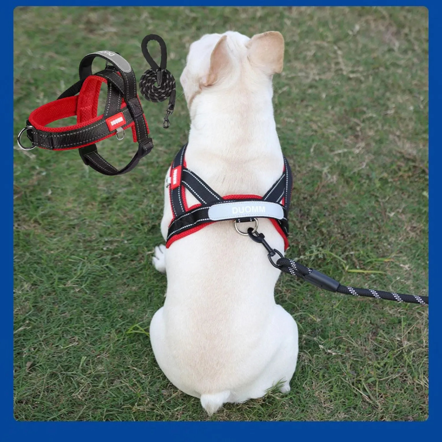 FrenFit Frenchie Harness and Leash Set – No-Pull Y-Shaped Stylish Fit