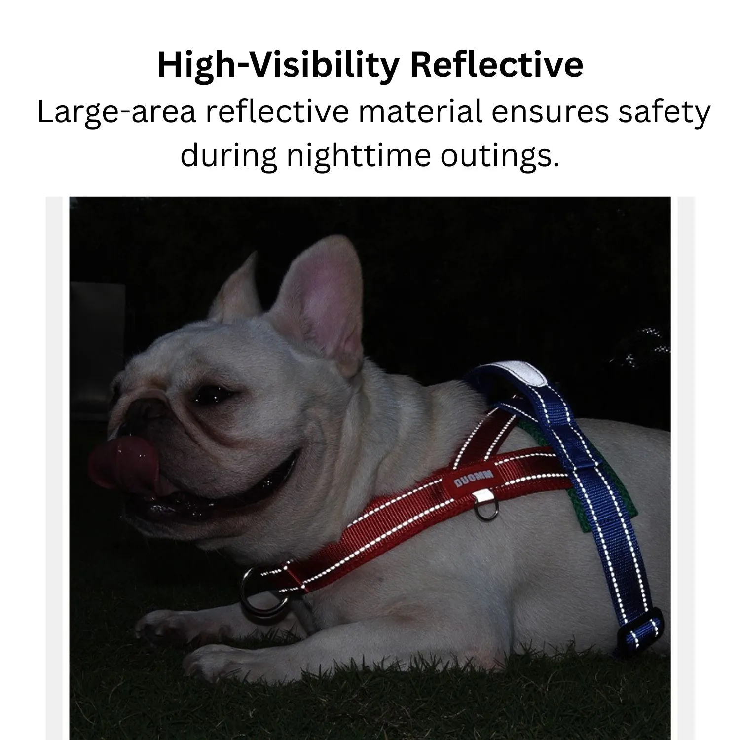 FrenFit Frenchie Harness and Leash Set – No-Pull Y-Shaped Stylish Fit