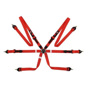 G-Force 2028 FIA 2 Harness