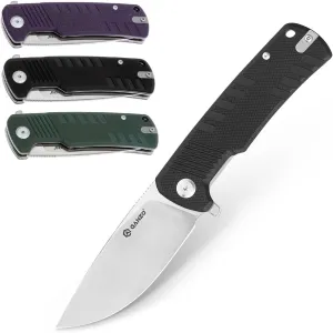 Ganzo G769-BK EDC Folding Pocket Knife Razor Sharp D2 Stainless Steel Blade G10 Handle with Clip Outdoor Hunting Fishing Hiking Folder Best Gift for Men (Black)
