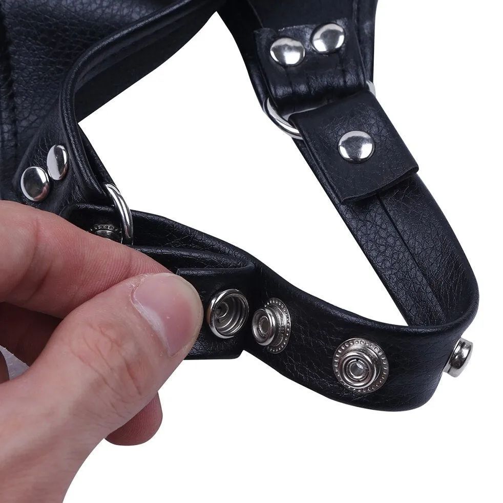 “Gentleman” Chest Harness