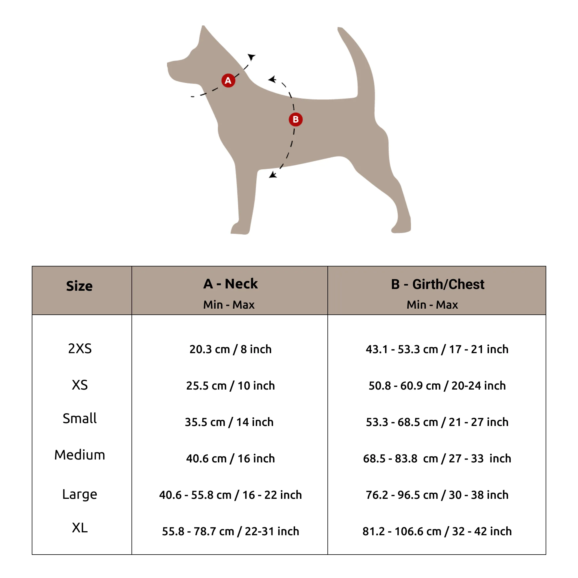 Geometrical Light Harness   Leash Set