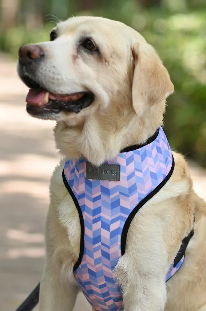 Geometrical Light Harness   Leash Set
