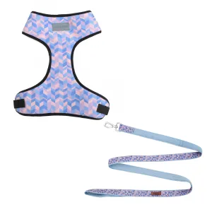 Geometrical Light Harness   Leash Set