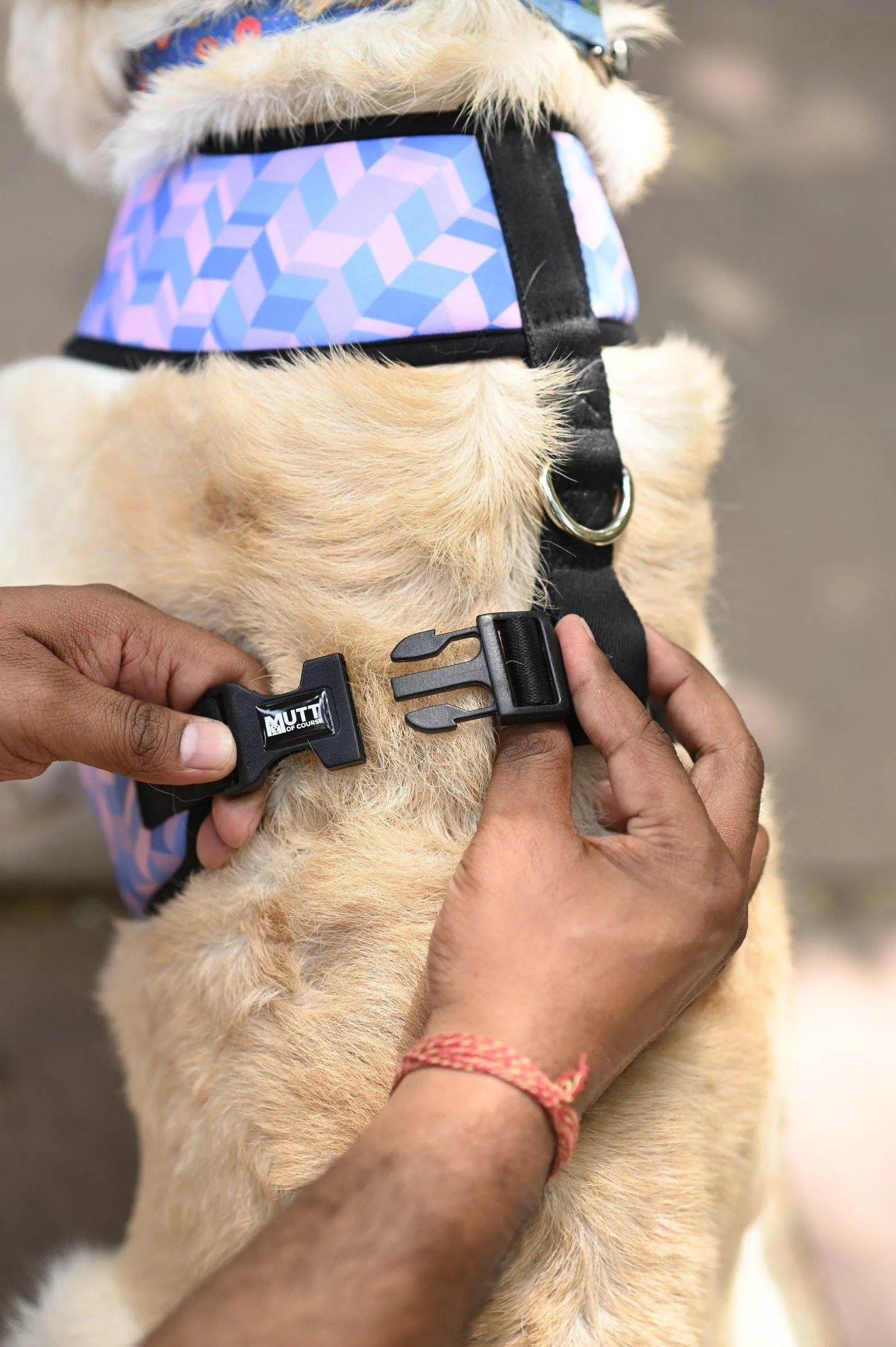 Geometrical Light Harness   Leash Set