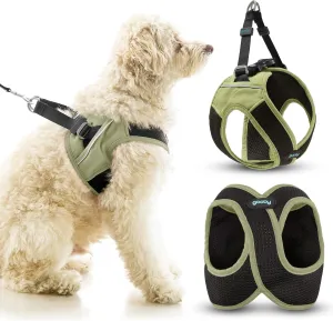 Gooby Escape Free Easy Fit X in Dog Harness - Portland Green, Medium