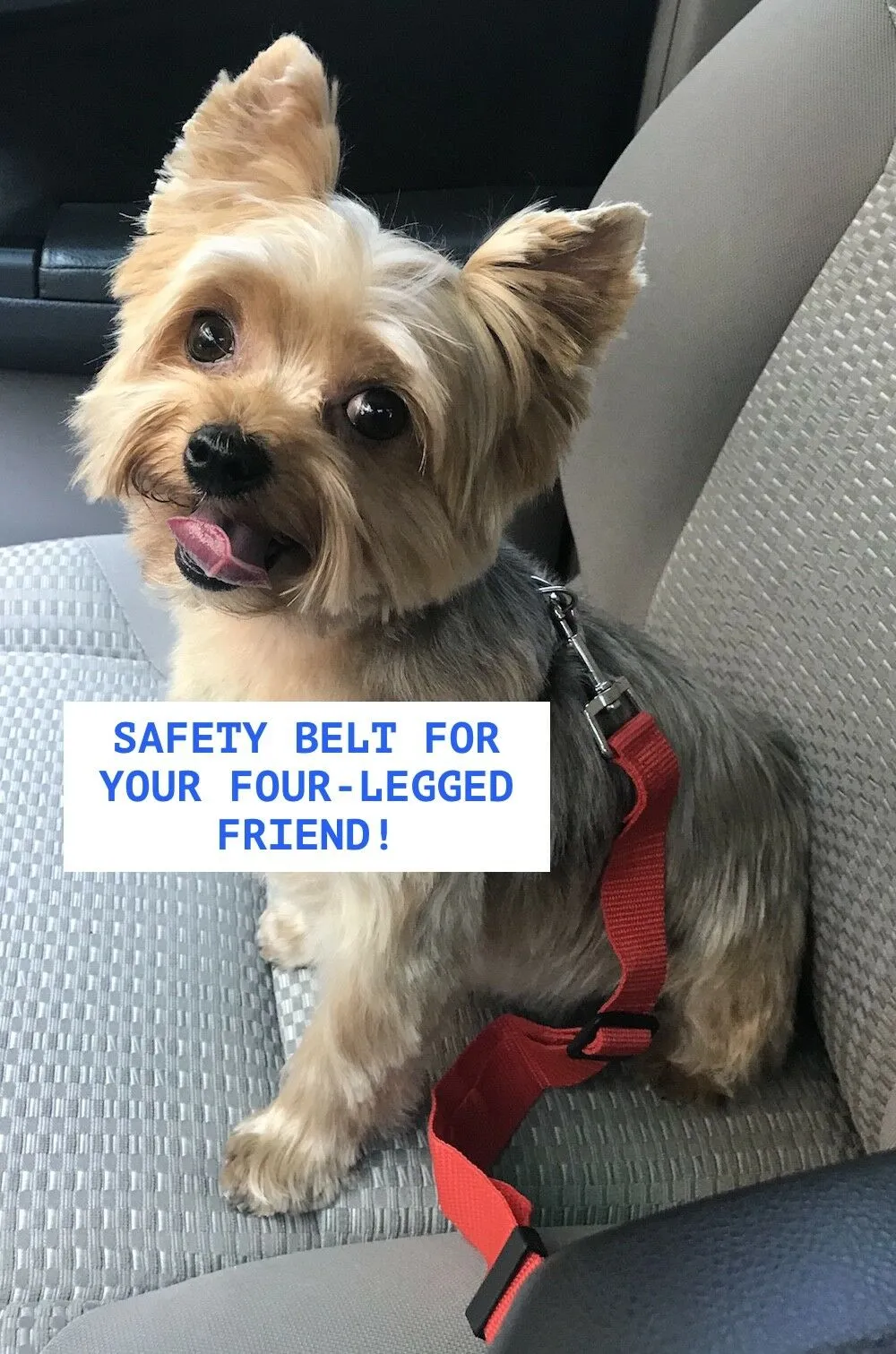 Harness Collar Dog Seat Belt Leash - Car Restraint Safety Lead