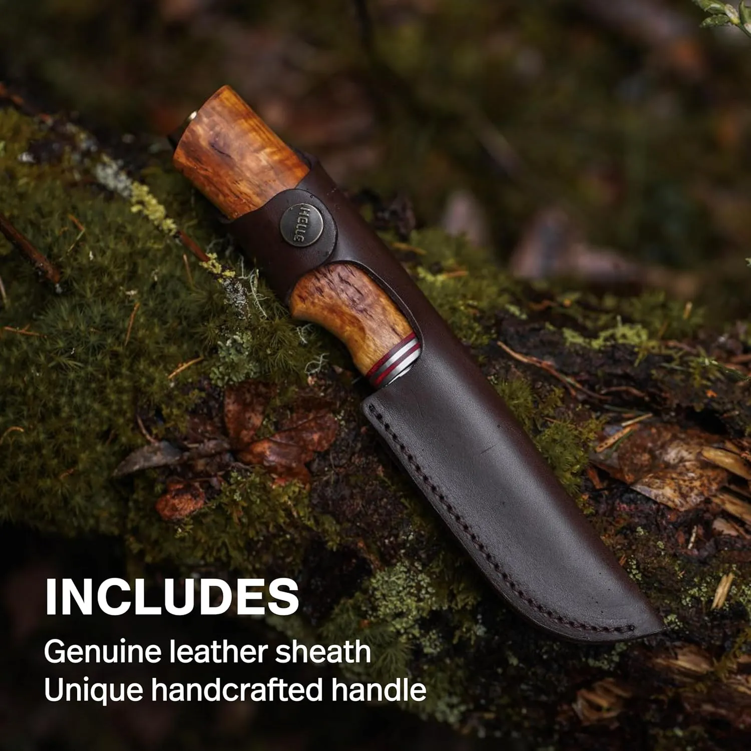 HELLE Knives - Futura - Outdoor Adventure Camping Knife with Sheath, Triple Laminated Stainless Steel Fixed Blade, Curly Birch Handle, Made in Norway