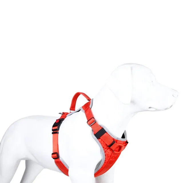 High Quality Adjustable Dog Harness