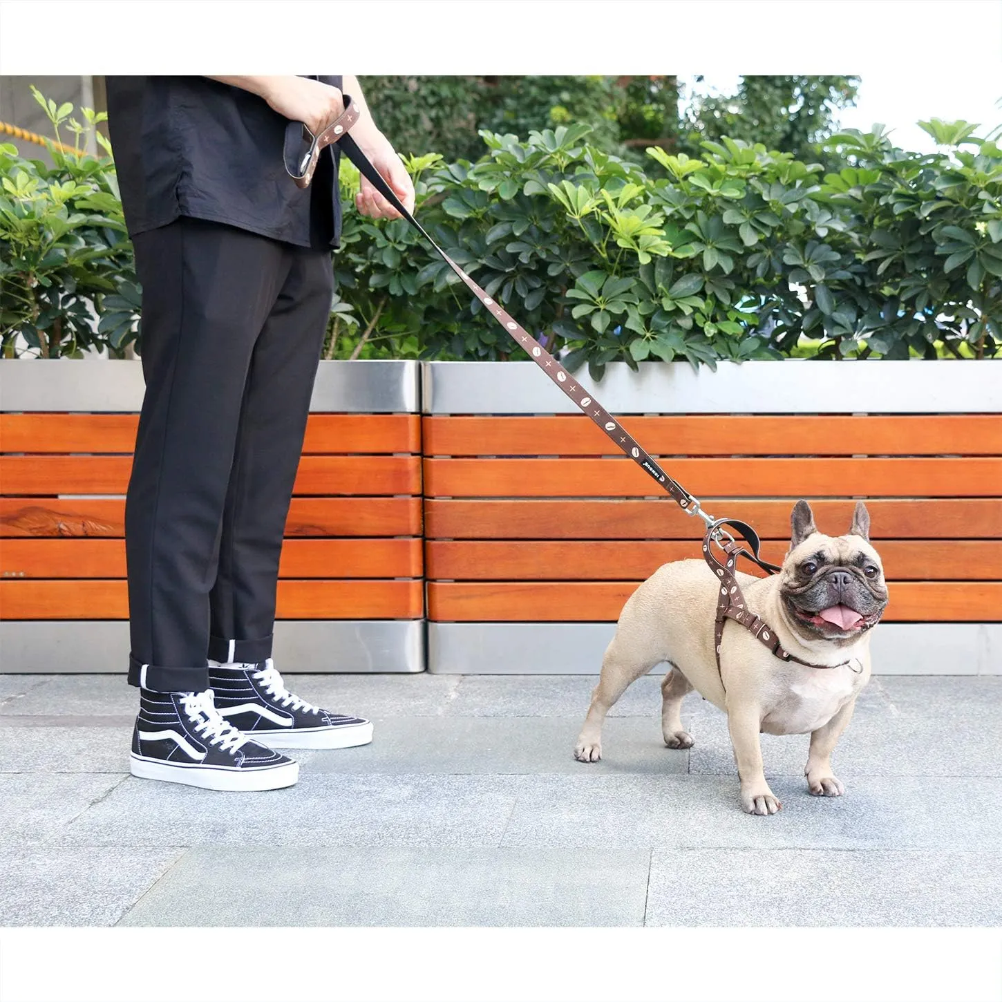 iChoue Dog Harness Easy On and Off Front Back 2 Leash Attachments Adjustable Lightweight Harness for Small and Medium Dogs - M Coffee Bean