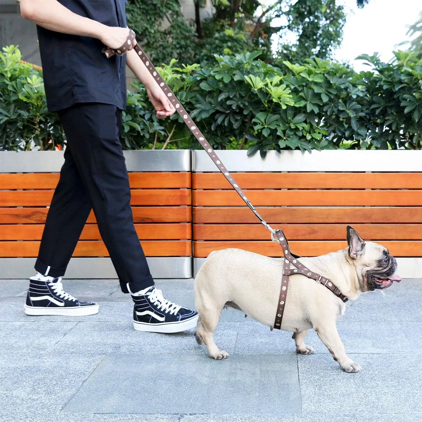 iChoue Dog Harness Easy On and Off Front Back 2 Leash Attachments Adjustable Lightweight Harness for Small and Medium Dogs - M Coffee Bean