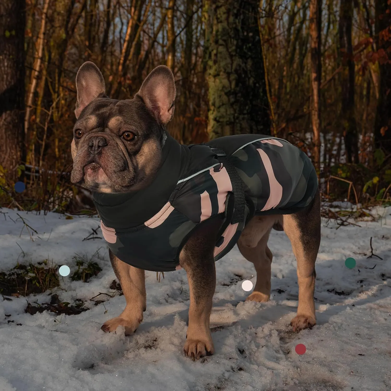 IECOii Extra Warm Dog Coat Reflective Adjustable Dog Jacket Dog Winter Coat with Buckle Fleece Turtleneck Dog Jacket for Cold Weather Soft Winter Coat for Small Medium Extra Large Dogs