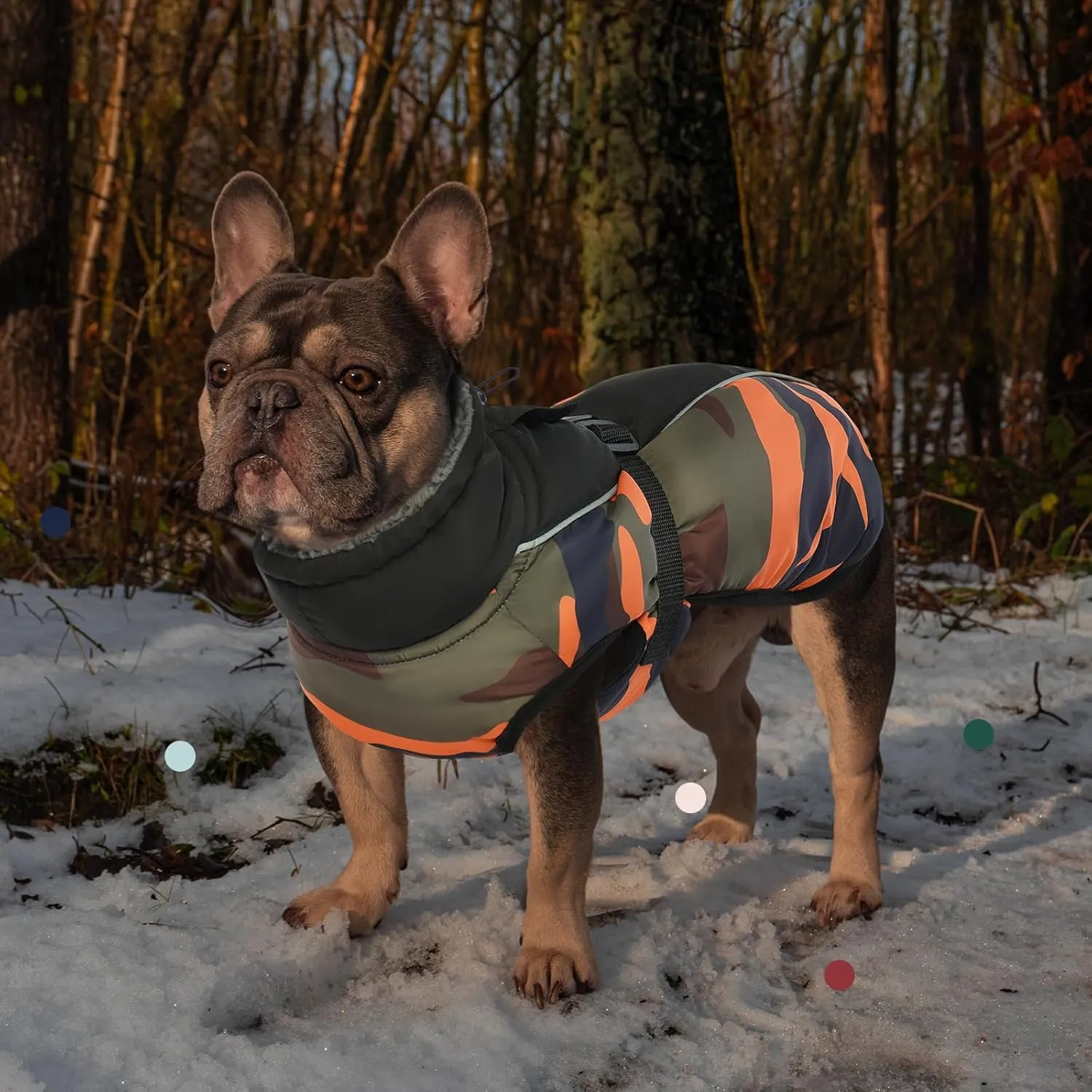 IECOii Extra Warm Reflective Adjustable Dog Jacket - Winter Coat with Buckle Fleece Turtleneck for Small, Medium, Extra Large Dogs
