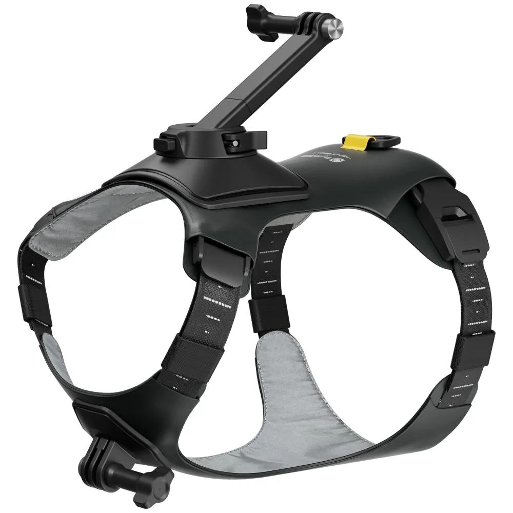 Insta360 Pet Harness Mount Size M for GO 3/GO 3S