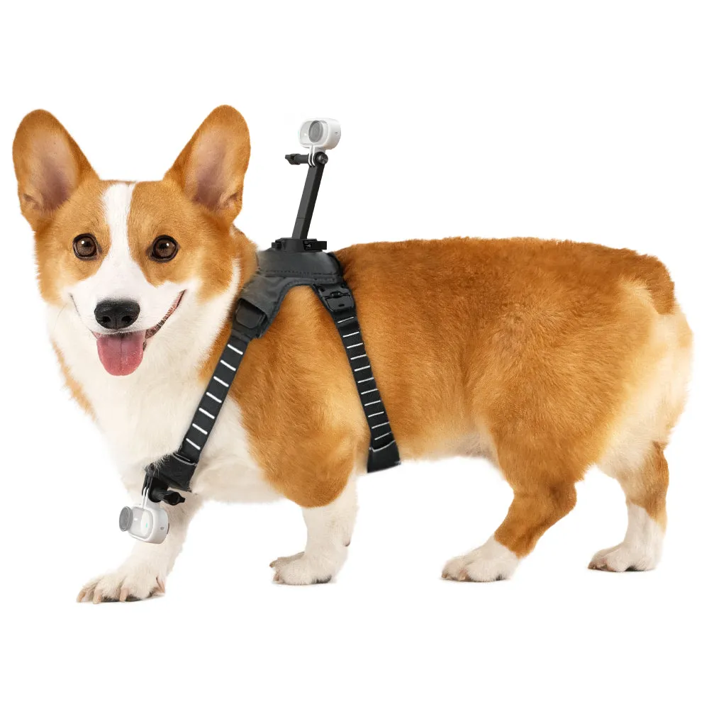 Insta360 Pet Harness Mount Size M for GO 3/GO 3S