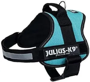 Julius-K9 Trixie Power Harness for Dogs, High Visibility, Multi, Striped, Extra Small, Youth X-Small, Fluorescent & Reflective Safety Features, Premium Leather Material