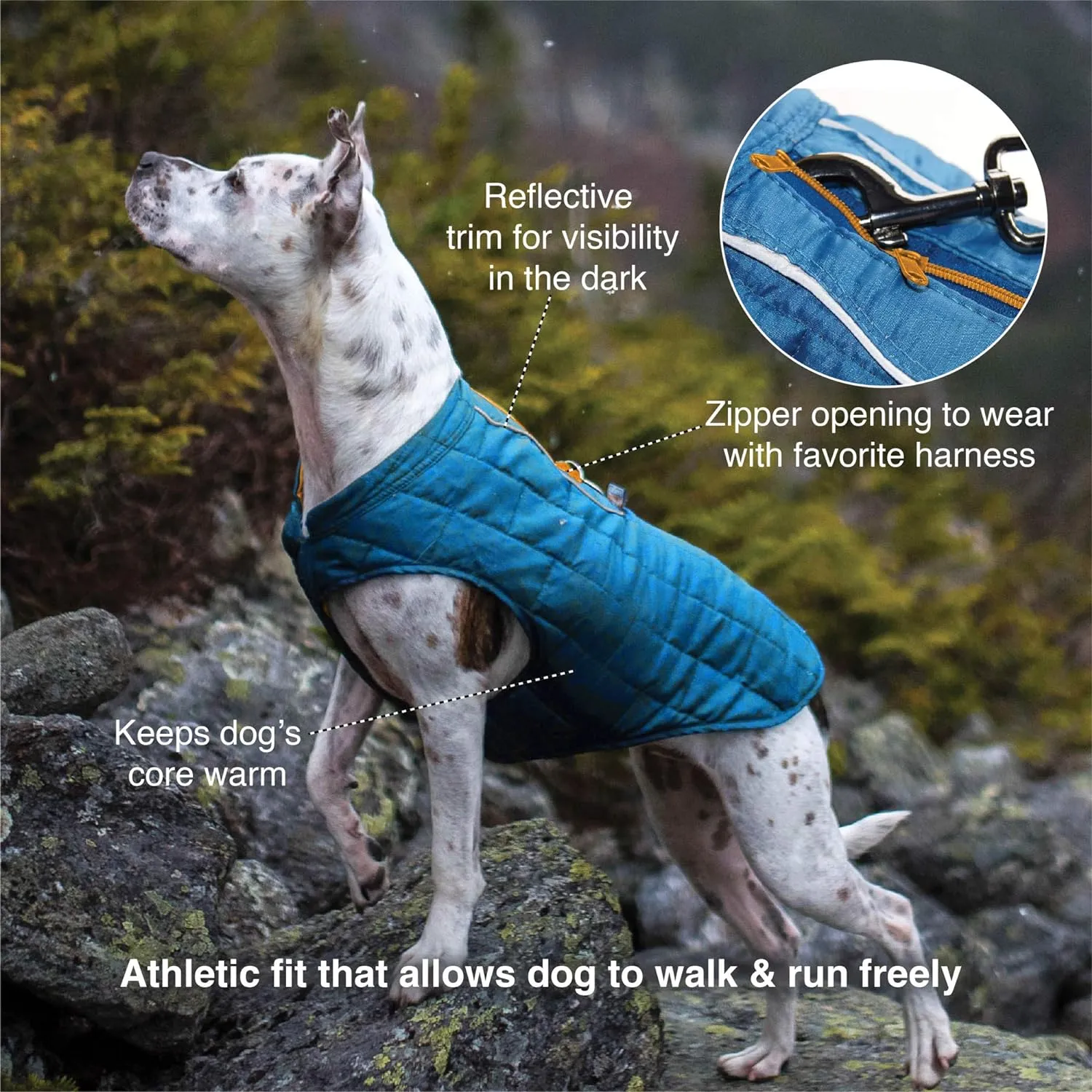 Kurgo Loft Dog Jacket, Reversible Winter Coat for Dogs, Wear with Harness or Sweater, Water Resistant, Reflective, for Small Medium Large Pets (Fall Festival, XS)