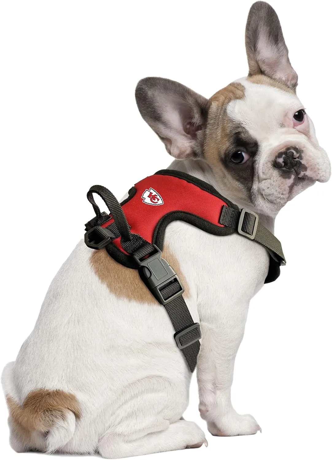 Littlearth NFL Unisex-Adult Front Clip Pet Harness