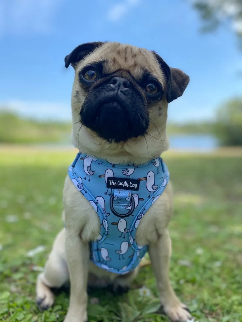 Mine Mine Mine Harness