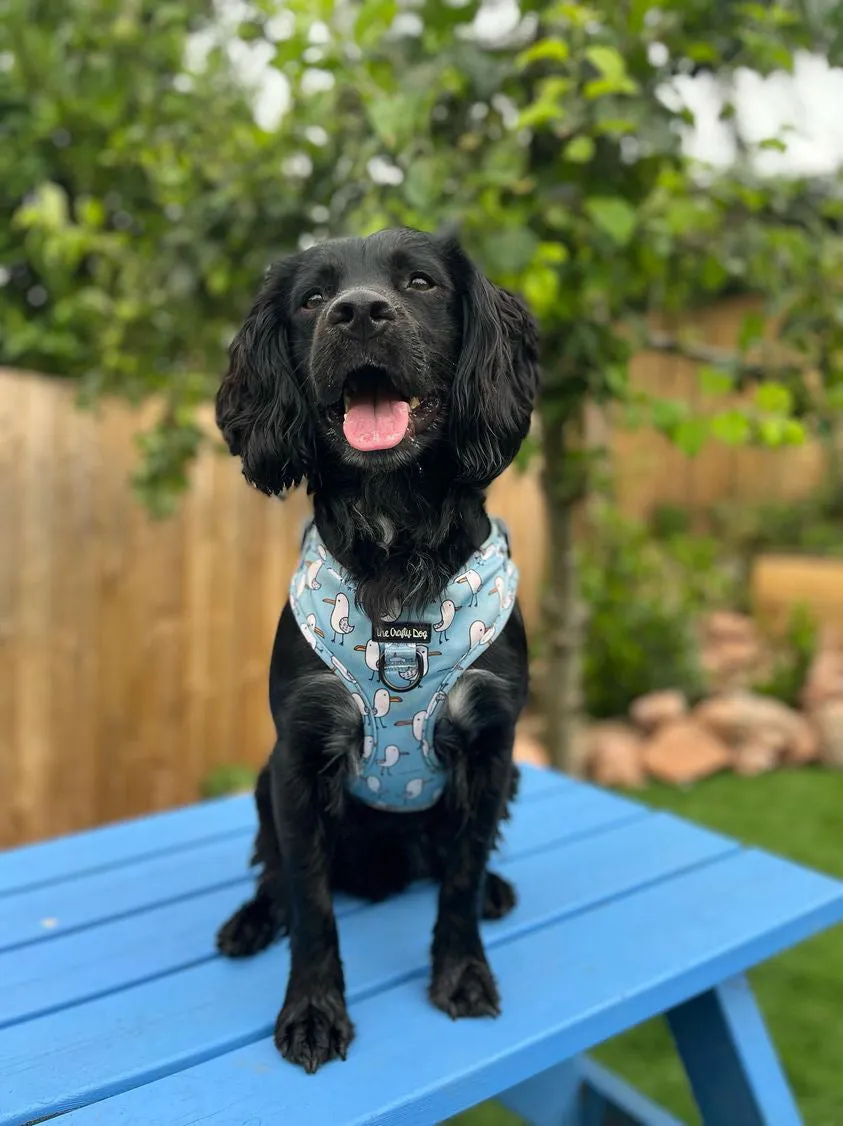 Mine Mine Mine Harness
